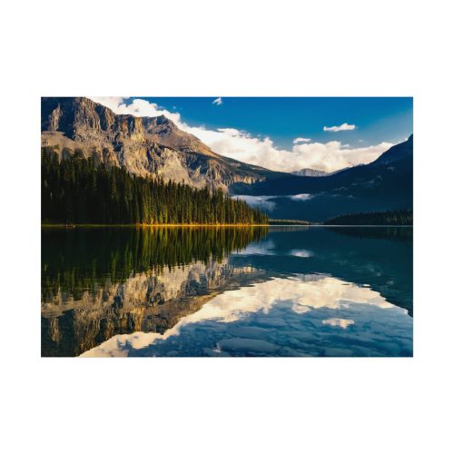 92408-777.jpg Beautiful Forest in Canada Poster