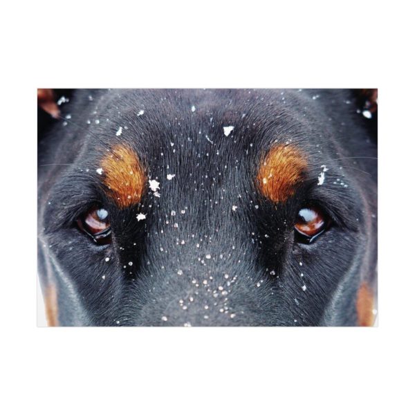 92408-78.jpg Eyes and Snowflakes Poster