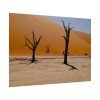 92408-789.jpg Desolate Trees in the Sandy Desert of Deadvlei Hiking Trail Poster