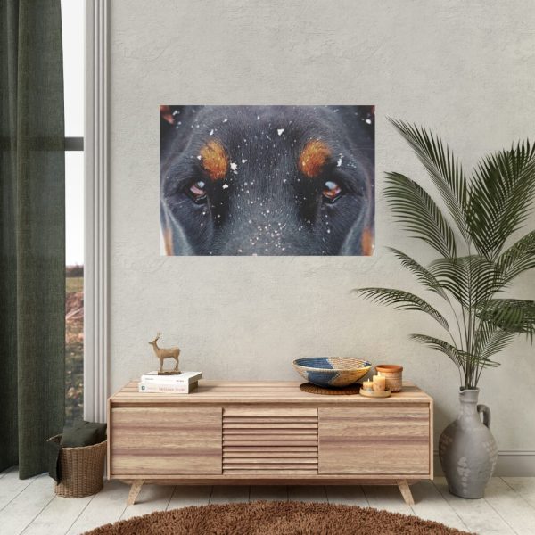 92408-79.jpg Eyes and Snowflakes Poster