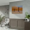 92408-791.jpg Desolate Trees in the Sandy Desert of Deadvlei Hiking Trail Poster