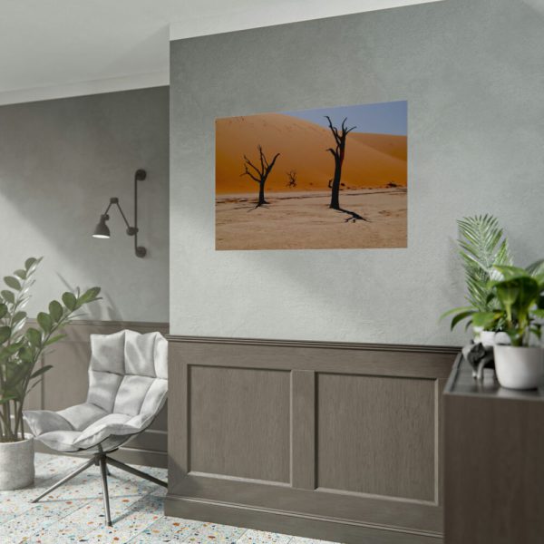 92408-791.jpg Desolate Trees in the Sandy Desert of Deadvlei Hiking Trail Poster