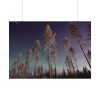 Lapland Finland Poster