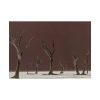 92408-802.jpg Deadvlei Sunrise Poster
