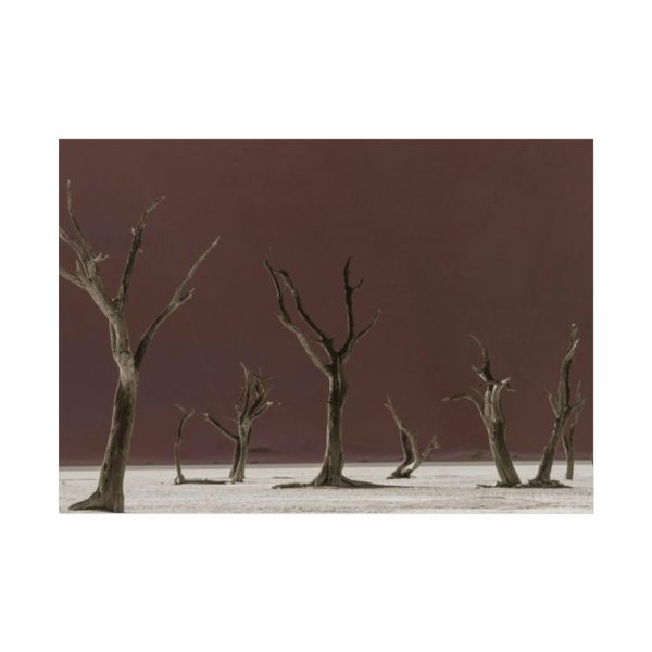 92408-802.jpg Deadvlei Sunrise Poster