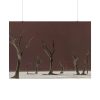 92408-803.jpg Deadvlei Sunrise Poster