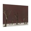 92408-804.jpg Deadvlei Sunrise Poster
