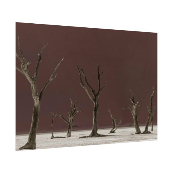 92408-804.jpg Deadvlei Sunrise Poster