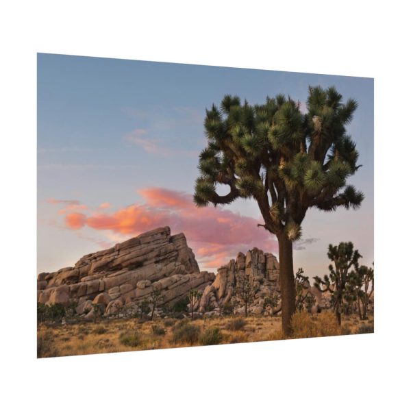 92408-809.jpg Sunset near Turtle Rock Poster