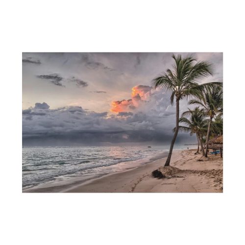 92408-812.jpg Dominican Republic Beach Poster