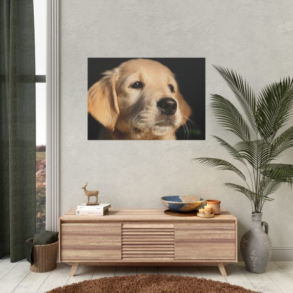 92408-82.jpg Little Golden Retriever Poster