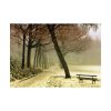 92408-822.jpg Cold Frost Season in Nature Poster