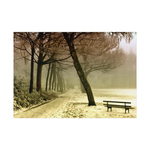 92408-822.jpg Cold Frost Season in Nature Poster