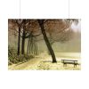 92408-823.jpg Cold Frost Season in Nature Poster