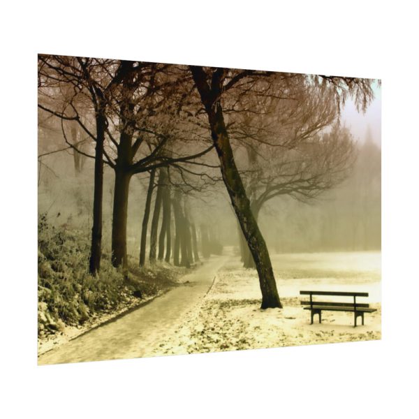 92408-824.jpg Cold Frost Season in Nature Poster