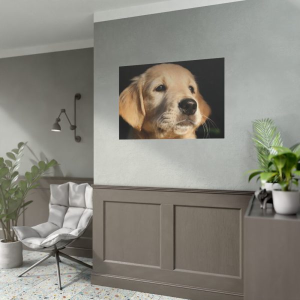 92408-83.jpg Little Golden Retriever Poster