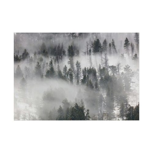 Trees in Lamar Valley Poster