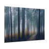 92408-839.jpg Into the Woods Poster