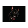 92408-84.jpg Head of a German Shepherd Poster