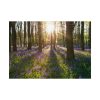 92408-842.jpg Spring day Poster