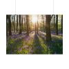 92408-843.jpg Spring day Poster