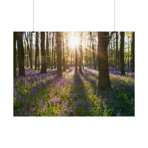92408-843.jpg Spring day Poster