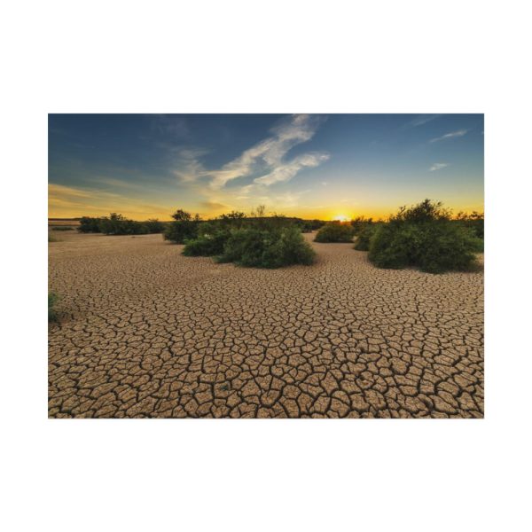 92408-862.jpg Drought Dehydrated Clay Floor Earth Cracked Poster