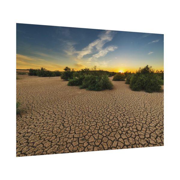 92408-864.jpg Drought Dehydrated Clay Floor Earth Cracked Poster