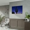 92408-871.jpg Saguaro Cactus Dominates in the Garden of the White Stallion Ranch Poster