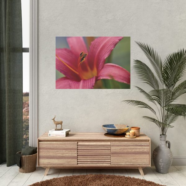 Blooming Flower Pink Poster