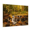 Waterfall Autumn Poster