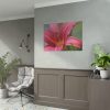 Blooming Flower Pink Poster