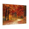 Red Season in the Woods Poster