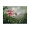 Heade Orchid by Martin Johnson Poster
