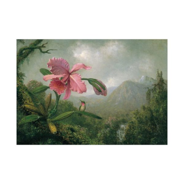 Heade Orchid by Martin Johnson Poster