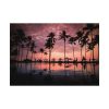 92408-907.jpg Water Palm in the Resort Poster