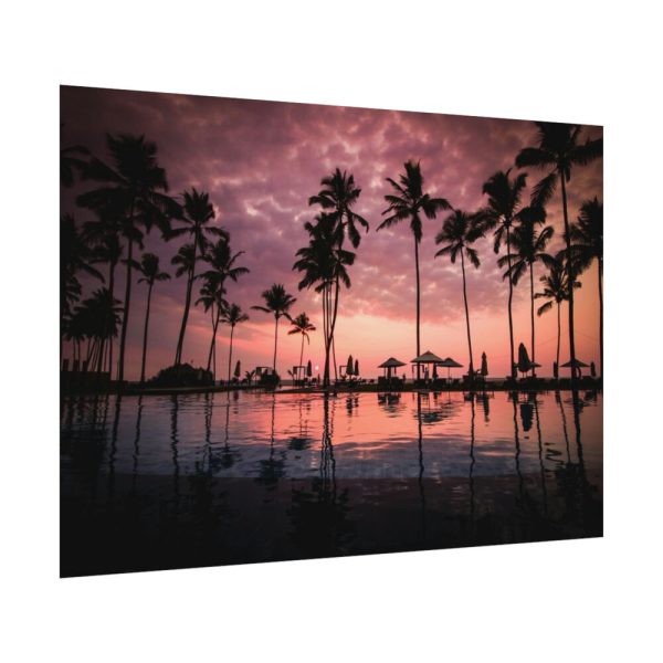 92408-909.jpg Water Palm in the Resort Poster