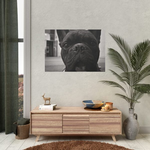 92408-94.jpg French Bulldog Poster