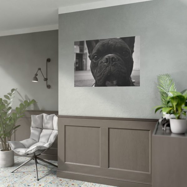 92408-95.jpg French Bulldog Poster