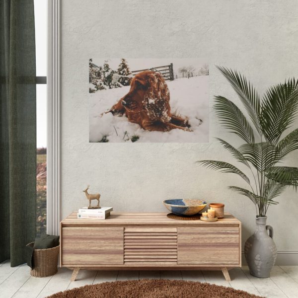 92408-97.jpg Dog Lying on Snow Poster