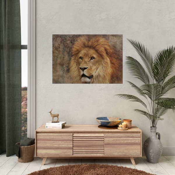 92409-1.jpg Beautiful Lion's Head Poster