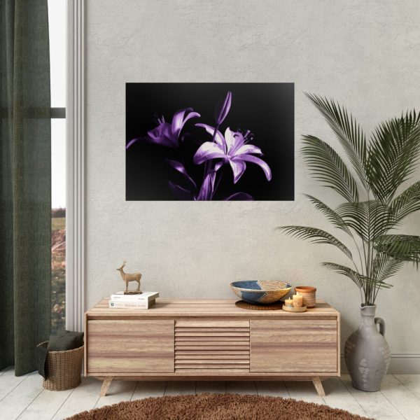 Purple Lily Poster