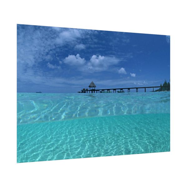 92409-1004.jpg Beautiful Beach Landscape Poster