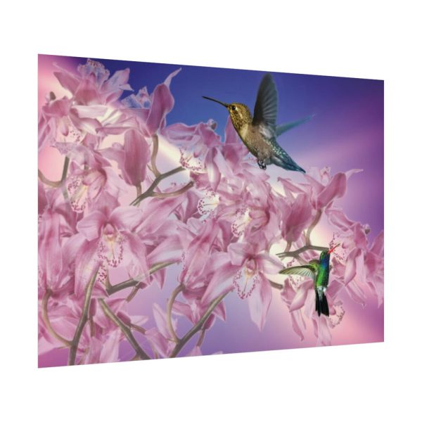 Pink Orchid Poster