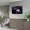 Purple Lily Poster