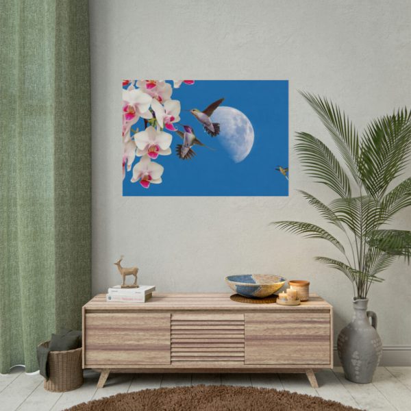 Humming Birds Poster