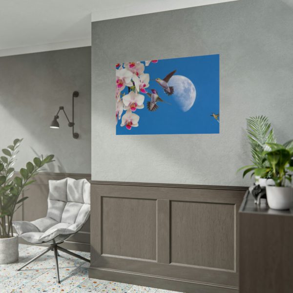 Humming Birds Poster