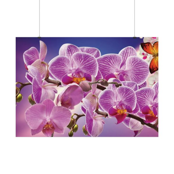 Orchids Flowers Poster