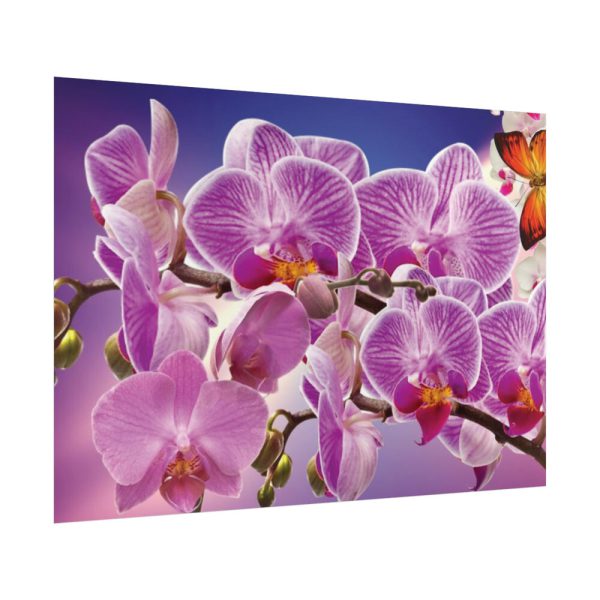 Orchids Flowers Poster
