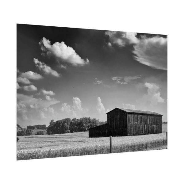 Black and White Barn Poster
